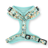 cute dog harness for boy