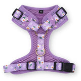 Purple Daisy AllSet™ Harness – Adjustable Bliss (D Ring)