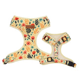 best dog harness