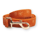 Ambar Suns Dappertie™ - Mega Bundle Match (D Ring)