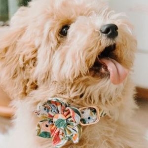 Morning Floral Flower Unbreakable Collar™