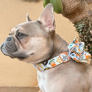 Morning Floral Flower Unbreakable Collar™