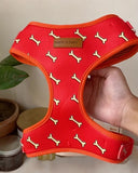 A hand is holding a red dog harness with a pattern of white bones on it.