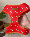 A hand is holding a red dog harness with a pattern of white bones on it.