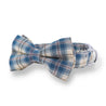 dog bow tie pattern