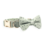 Teal Stars Signature Band™ + Slide-On Dappertie™ + Joyline™