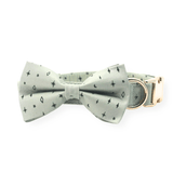 Teal Stars Dappertie™ - Mega Bundle Match