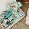 dinosaour Harness, bowtie collar leash and matching bandana for safe and classic dogs