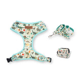 dog harness and leash set