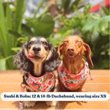 Morning Floral AllSet™ Harness – Adjustable Bliss