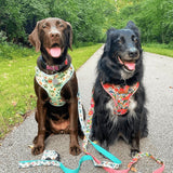 Morning Floral AllSet™ Harness – Adjustable Bliss