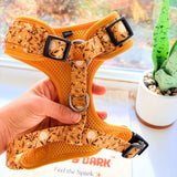 Sunny Daisy AllSet™ Harness – Adjustable Bliss (D Ring)