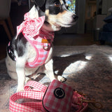 Pink Gingham Signature Bloomtie™ - Mega Bundle (D Ring)