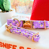 Purple Daisy Signature Band™ - Crafted Collar