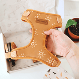A hand is holding a brown dog harness with a sun pattern, which is placed inside an open box.