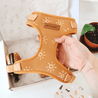 A hand is holding a brown dog harness with a sun pattern, which is placed inside an open box.