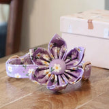 floral bowtie collar for dogs Purple_Daisy