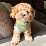 Playground AllSet™ Harness – Adjustable Bliss