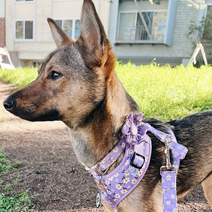 Purple Daisy Reversible Cozy Fleece Vest™