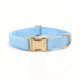luxury dog collars