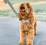 Blue Teddy Plaid Signature Band™ - Crafted Collar