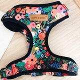 Midnight Floral Dappertie™ - Mega Bundle Match