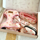 Peach Bow Mega Bundle - bundle - Sniff & Bark