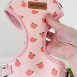 Peach Blush Signature Bloomtie™ - Mega Bundle