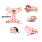 Peach Blush Signature Bloomtie™ - Mega Bundle (D Ring)