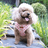 Peach Blush Signature Bloomtie™ - Mega Bundle (D Ring)