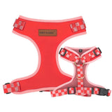 pet collars harnesses & leashes