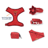 Red Polka Dot Signature Bloomtie™ - Mega Bundle (D Ring)