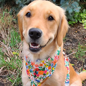 Purple Daisy Reversible Cozy Fleece Vest™