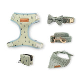 Teal Stars Dappertie™ - Mega Bundle Match