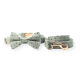Teal Stars Signature Band™ + Slide-On Dappertie™ + Joyline™