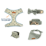 Teal Stars Dappertie™ - Mega Bundle Match (D Ring)