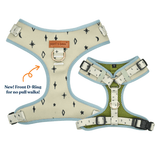 Teal Stars Dappertie™ - Mega Bundle Match (D Ring)