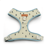 Teal Stars AllSet™ Harness Matching Bundle (D Ring)