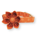 Ambar Suns Signature Band™ + Slide-On Bloomtie™ + Joyline™