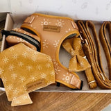 Ambar Suns Signature Bloomtie™ - Mega Bundle