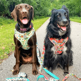 Mint Snappy Dino AllSet™ Harness – Adjustable Bliss