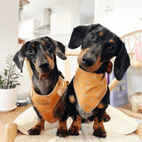 Ambar Suns AllSet™ Harness Matching Bundle