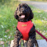 Red Polka Dot AllSet™ Harness – Adjustable Bliss