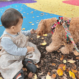 Midnight Floral AllSet™ Harness Matching Bundle
