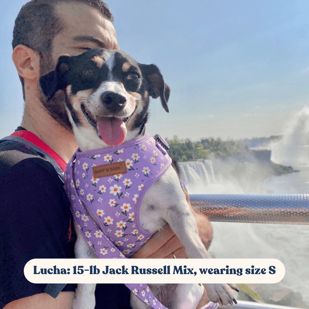 Purple Daisy Lockable Harness™