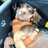 Ambar Suns AllSet™ Harness Matching Bundle