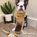 Custom dog collar