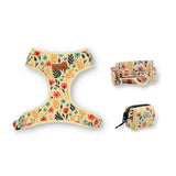 dog harness and leash set