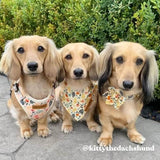 Yellow Floral Dappertie™ - Mega Bundle Match