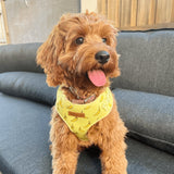 Cheeky Pawnana AllSet™ Harness – Adjustable Bliss